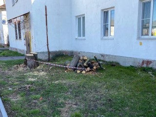 В деревне Демихово по обращениям жителей провели опиловку деревьев