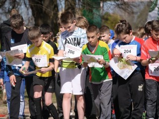 Клуб Дубрава собрал в Хотькове участников чемпионата области по ориентированию