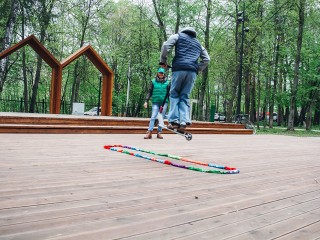 Из-за сильного ветра жителей округа попросили воздержаться от прогулок в парках