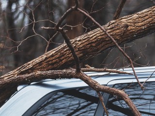 Экстренное предупреждение об ураганном ветре действует в Серебряных Прудах