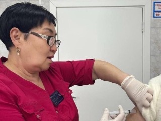В Котельниках началась бесплатная вакцинация от клещевого энцефалита