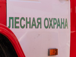 «Некрасовские» женщины потушили несколько пожаров в лесу у озера Бабошкино