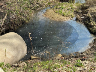 Экологи возьмут воду из ручья в Красной Горке для исследования загрязнения