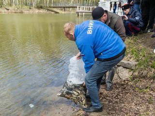 В Первое озеро в Звездном городке запустили рыбу