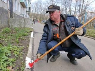 Субботник в Лыткарине: в округе наведут чистоту и вывезут мусор