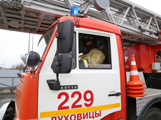 Луховицкие пожарные на неделе тушили дома, сухую траву и машину