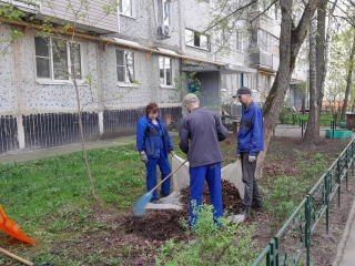 Порядок в коломенских дворах проверили инспекторы