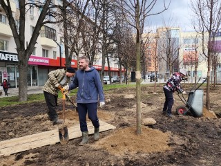 В Подмосковье к 80-летию Победы пройдут экологические акции