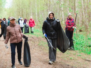 В Березовой роще очистили дорожки, беседки и поляны для комфорта жителей