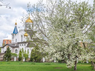 Жителей Реутова пригласили на мероприятия в парках