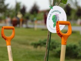 Глава наукограда уточнил, где и во сколько пройдет акция «Сад памяти»