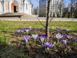 Синоптики спрогнозировали потепление в Московской области 19 апреля