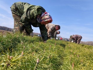 В Орехово-Зуеве заготовили сеянцы для посадки леса
