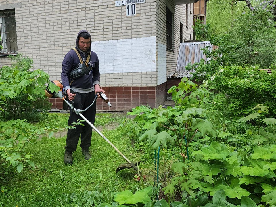 Коммунальщики в Пушкино стараются на беспокоить ежей при покосе травы