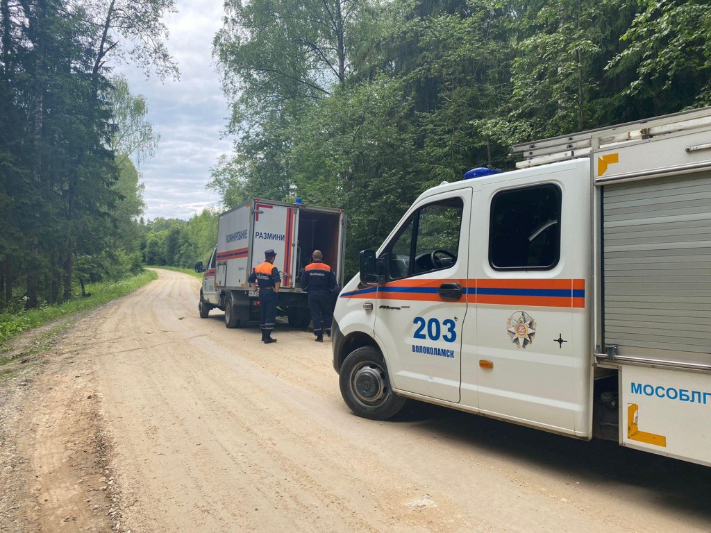 В деревне Владычино обезвредили шесть боеприпасов времен Великой Отечественной войны