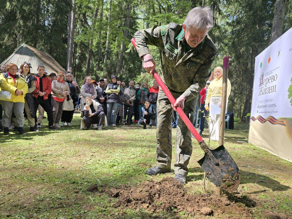 Чтобы каждое прижилось: в Можайске учили сажать деревья правильно