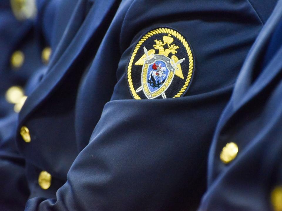 Главе СК доложат о ходе расследования дела о нападении женщины на мальчика в Домодедово