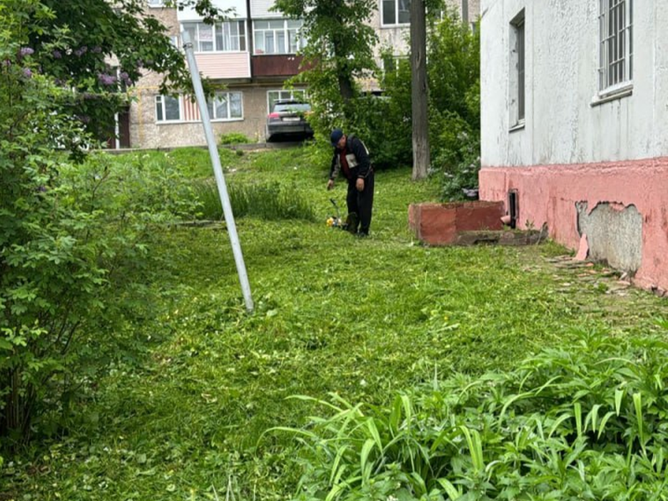 У дома на Московской опилили сухие деревья, представлявшие опасность для жителей