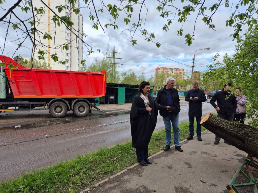 В лобненском микрорайоне Луговая подключили домовладения к электростанциям