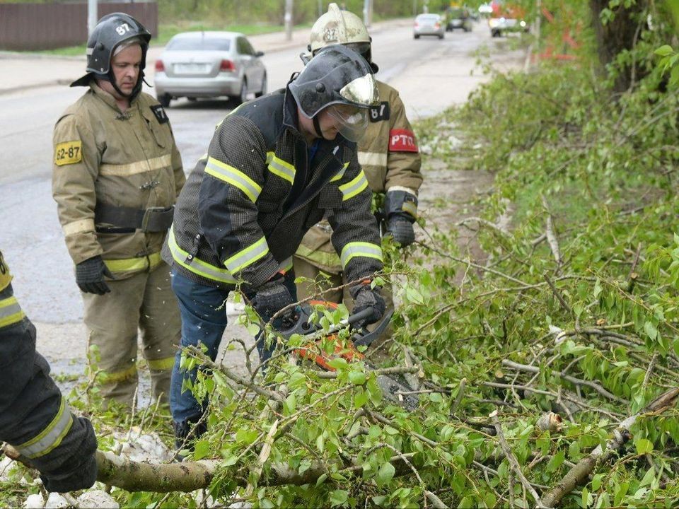 С территории Сергиево-Посадского округа вывезли 3 тыс. поваленных деревьев