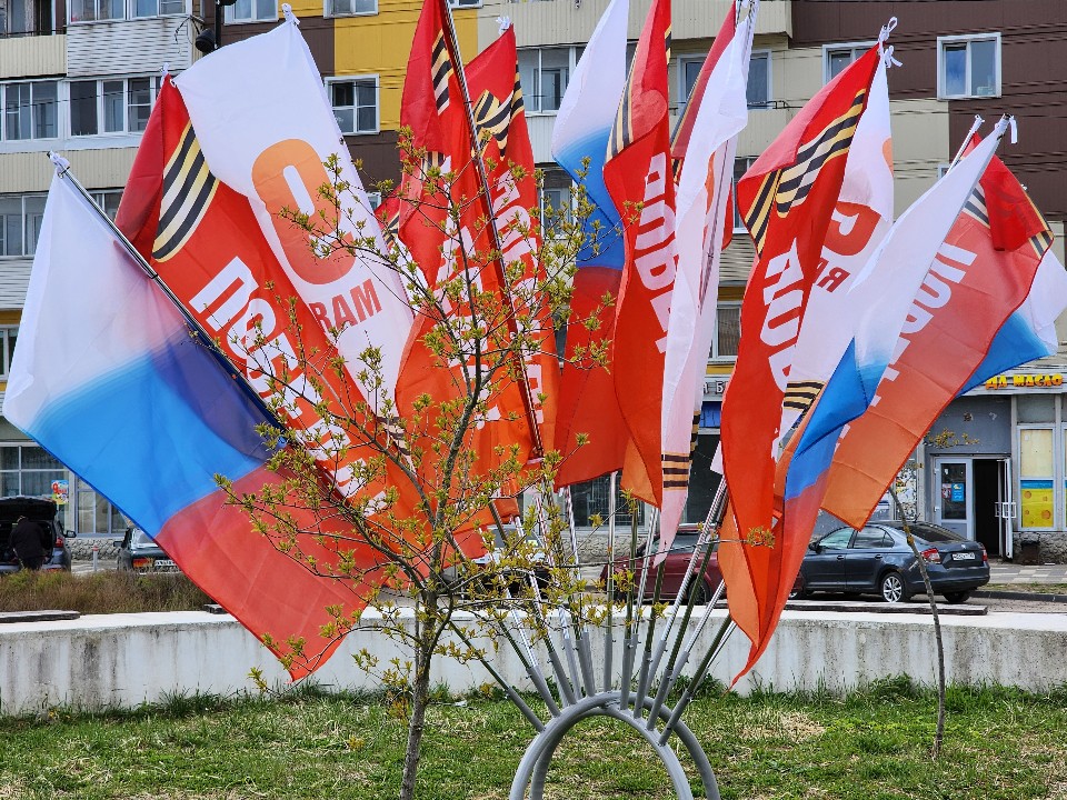 Преступление и раскаяние: укравший флаг звенигородец вернул его манекену солдата