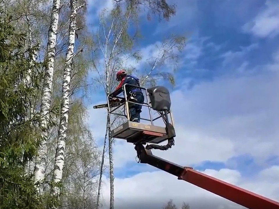 Погодная аномалия в Подмосковье оказалась беспрецедентной по масштабам