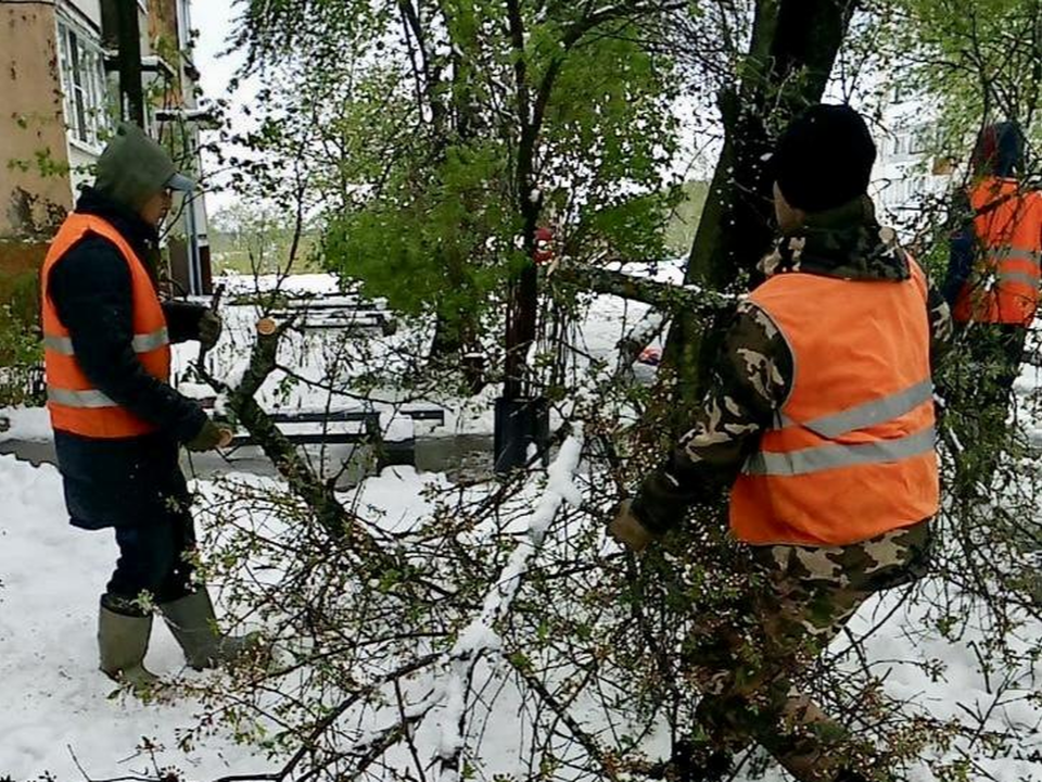 Московскую область расчистили от 2 тыс. рухнувших деревьев