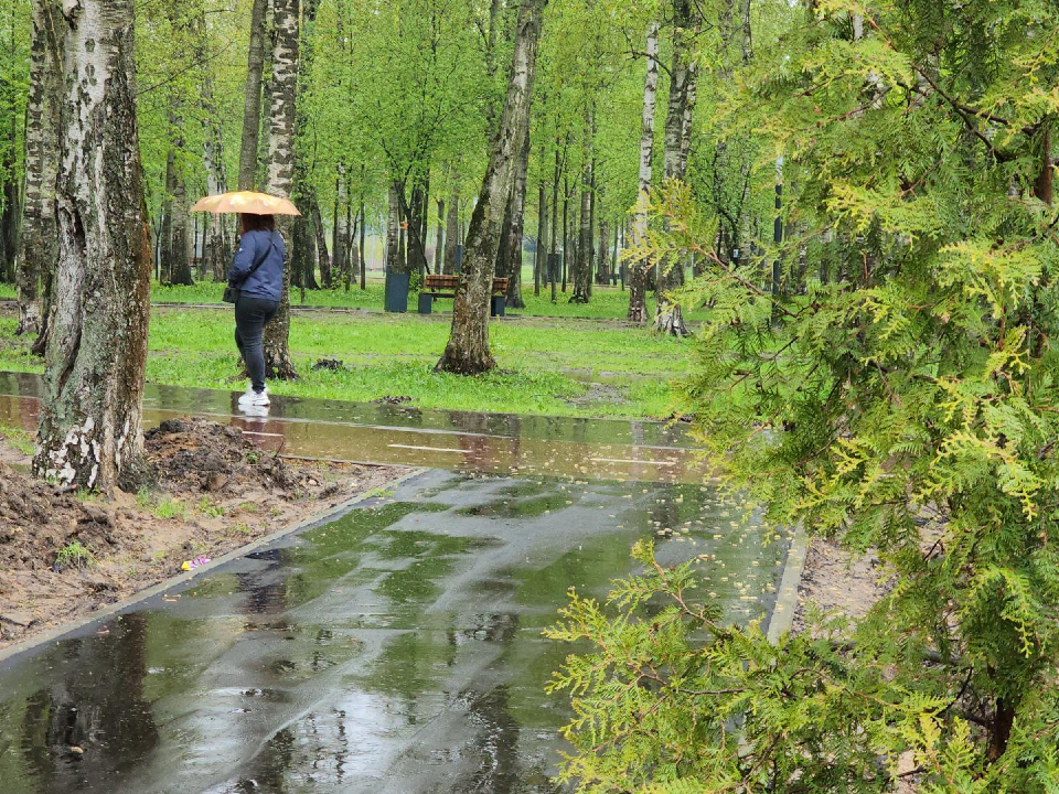В Центральном парке Лобни заасфальтировали «народные тропы»