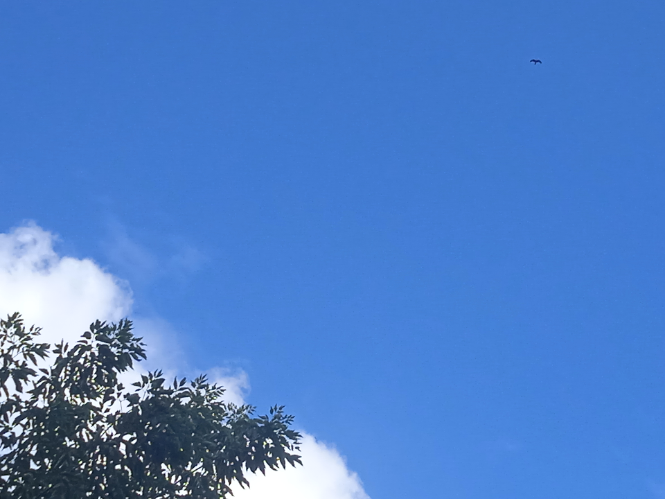 Южный циклон с порывистым ветром будет отвечать за погоду в Жуковском 10 мая