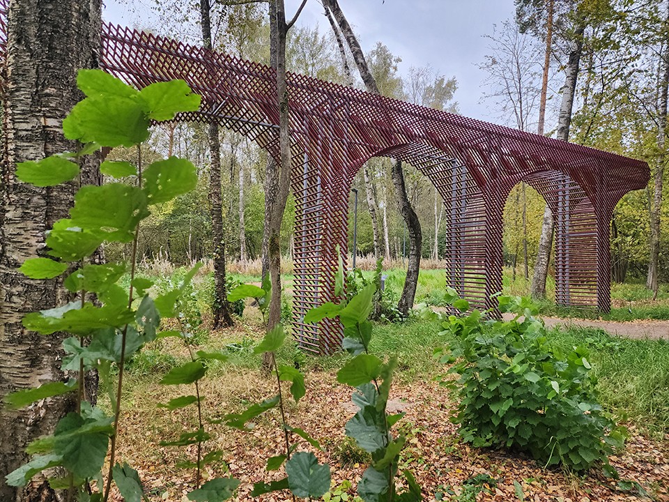В парке Малевича нашли отпечатки на кремне, которым 365 млн лет