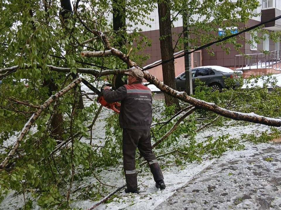 В Клину убирают поваленные снегопадом деревья