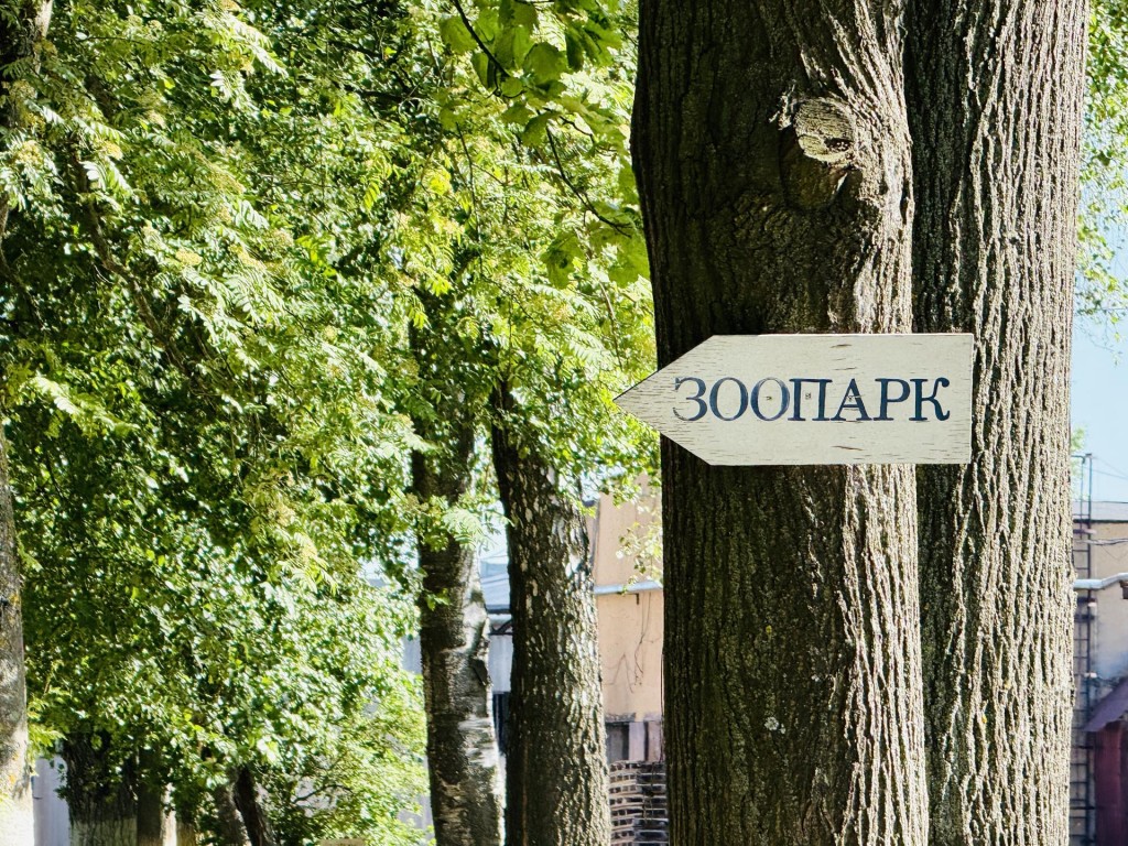Мексиканские страсти: звездный индюк Колян влюбился, а гусь Гриша усыновил гусенка
