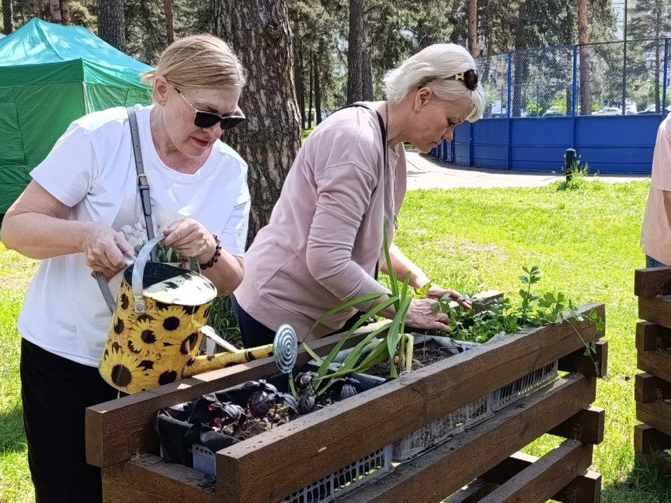 Жители Котельников высадили перцы и тыквы в Кузьминском лесопарке