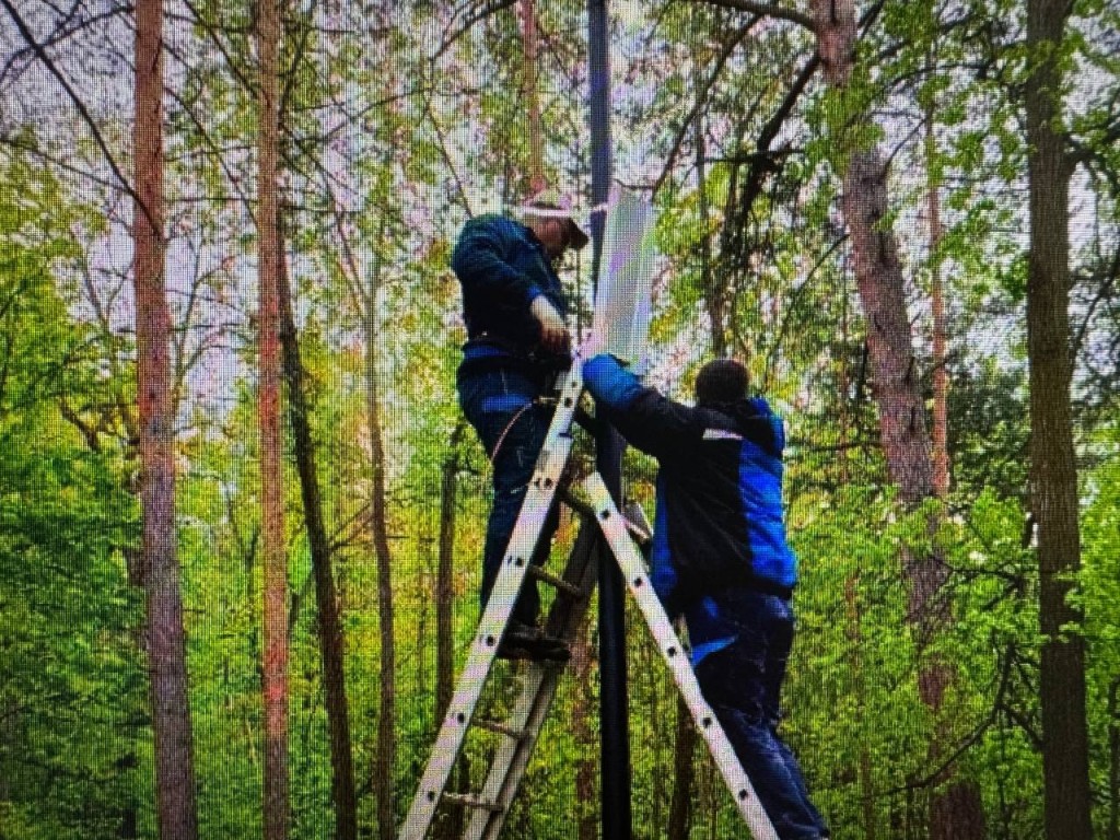 Лесопарк «Волкуша» оборудовали громкоговорителями