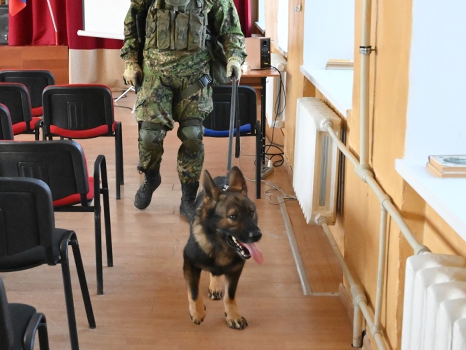 Угроза минирования школы №3 в Лобне не подтвердилась