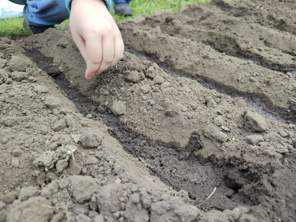 Простая примета на 18 мая предупредит о засухе или ливнях