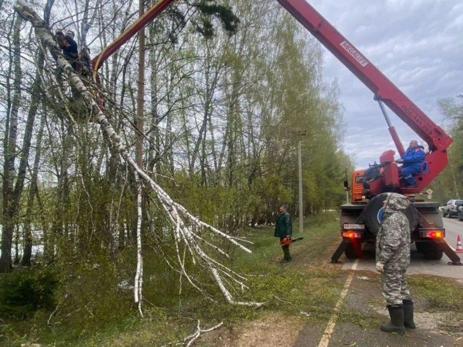 Лесничие Подмосковья задействованы для восстановления электроснабжения