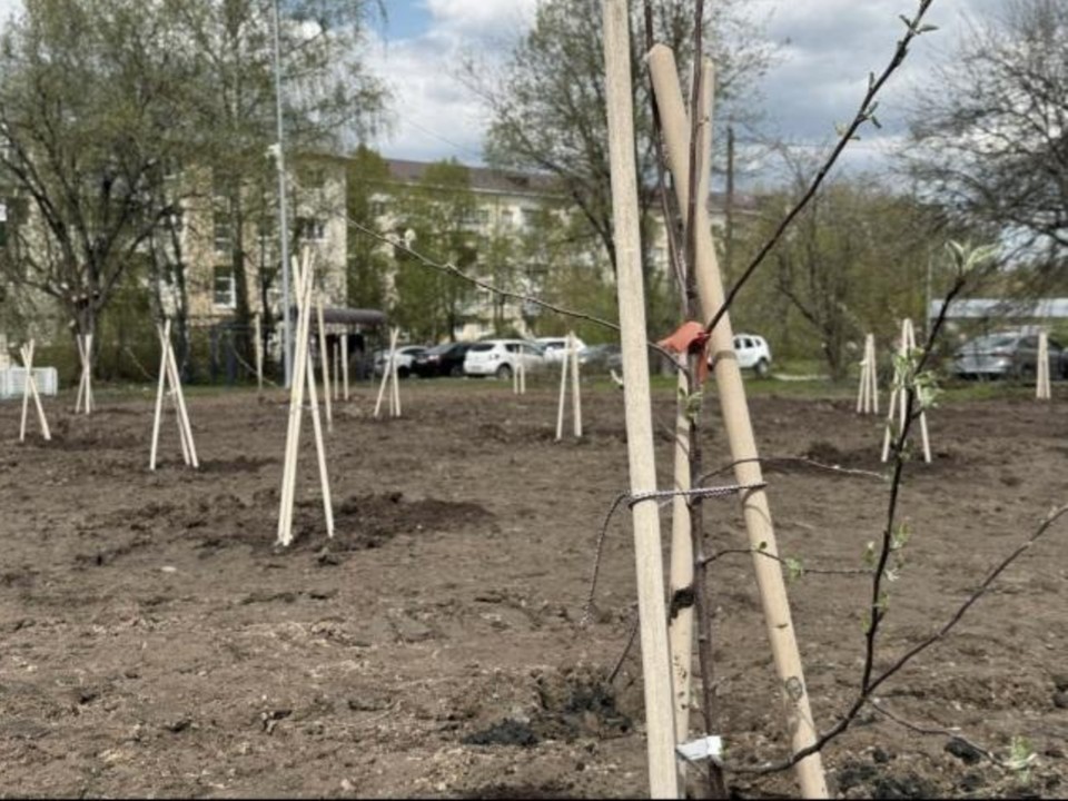 В ЗАТО Восход открыли яблоневый сад в память о ВОВ