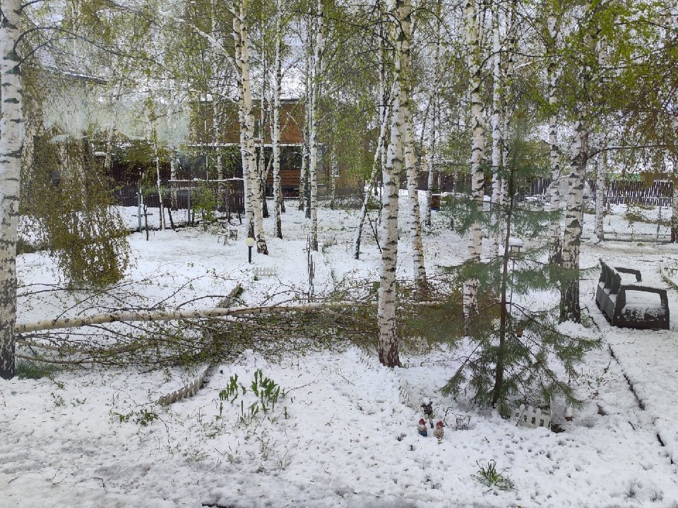 Ненастье застало известную актрису в загородном доме под Дмитровом