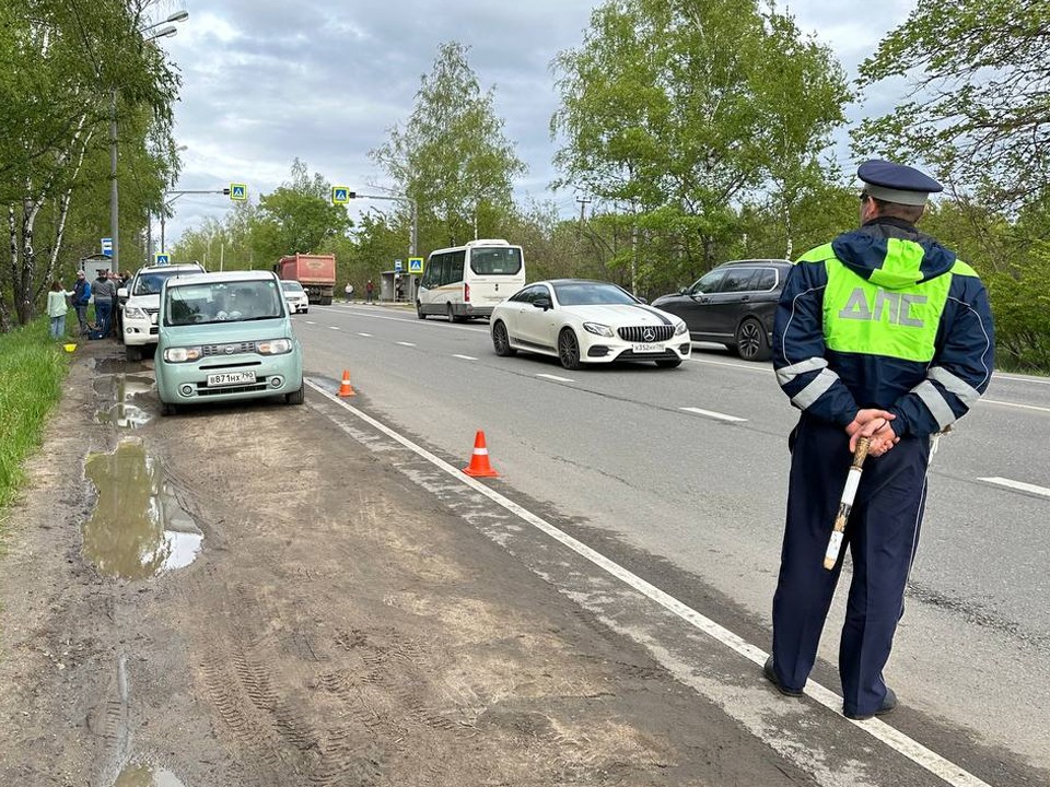 Полиция разбирается в обстоятельствах ДТП с лосенком в Истре