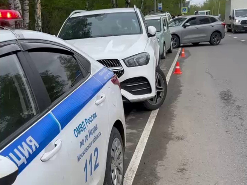 Момент ДТП с лосенком под Истрой попал на видео