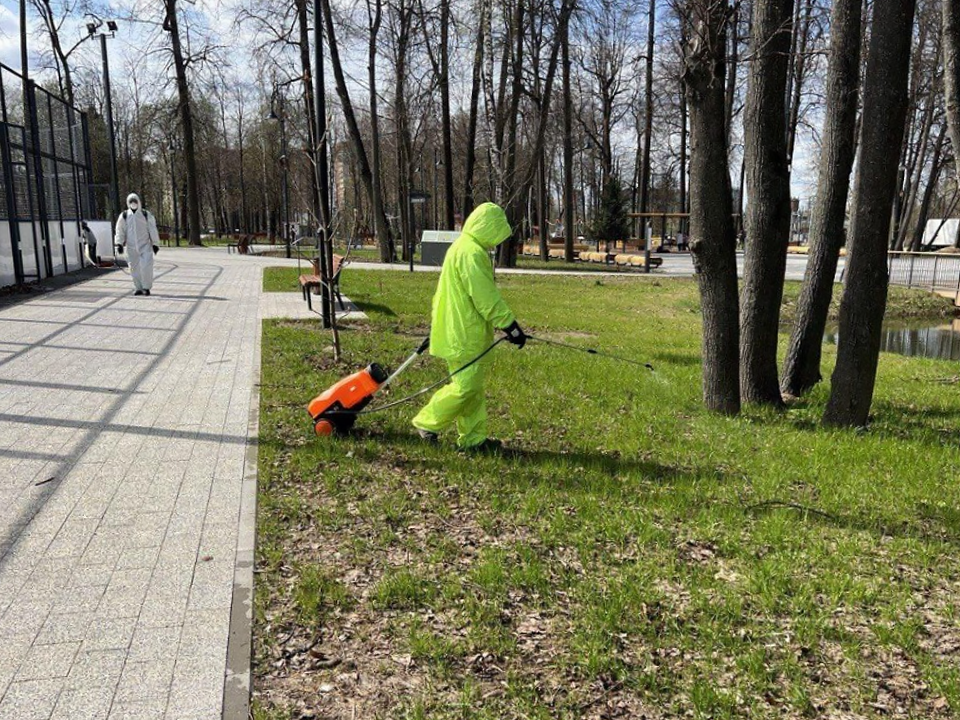 В Лобне обрабатывают парки от клещей