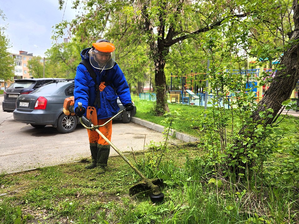 На улице Чехова скосили траву