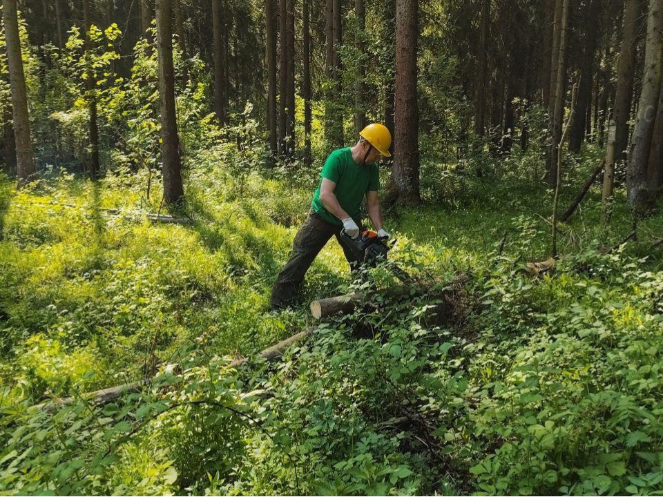 В Мытищах прошла экологическая акция «Чистый лес»