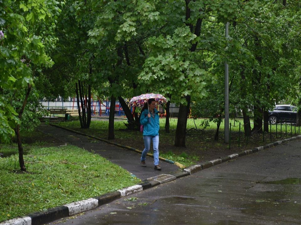 Дождливая погода не повлияет на температуру в Подмосковье