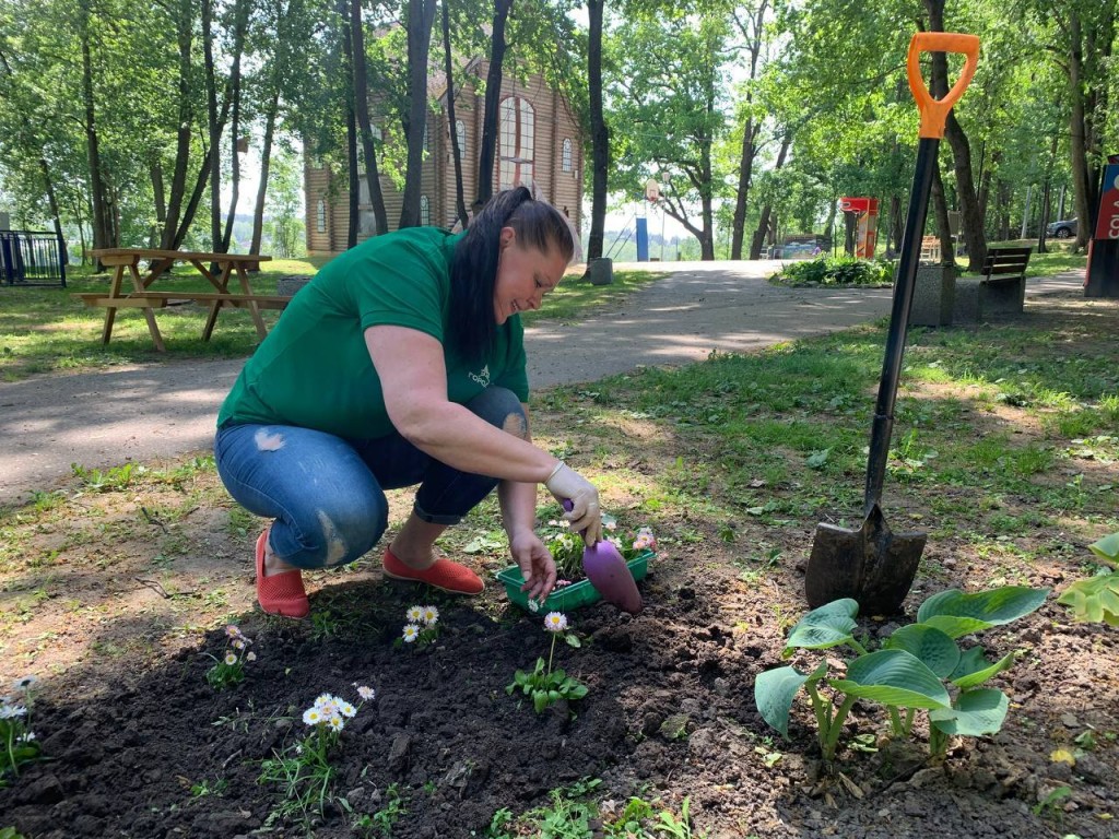 В «Городке» высадили маргаритки