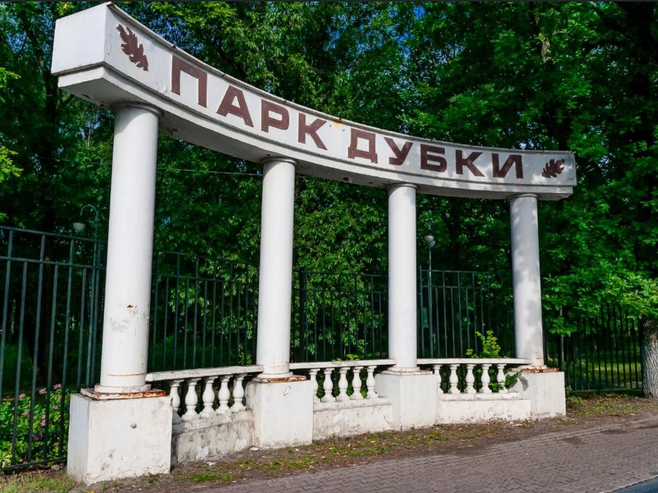 За обновление парка Дубки проголосовали почти 20 тыс. жителей