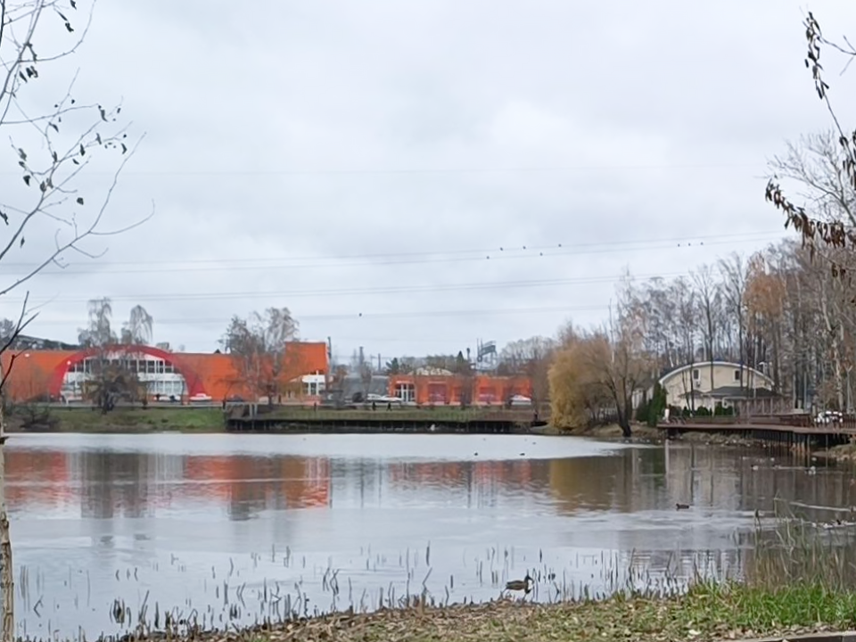 Жители Лобни просят отремонтировать дорожку к городскому пруду