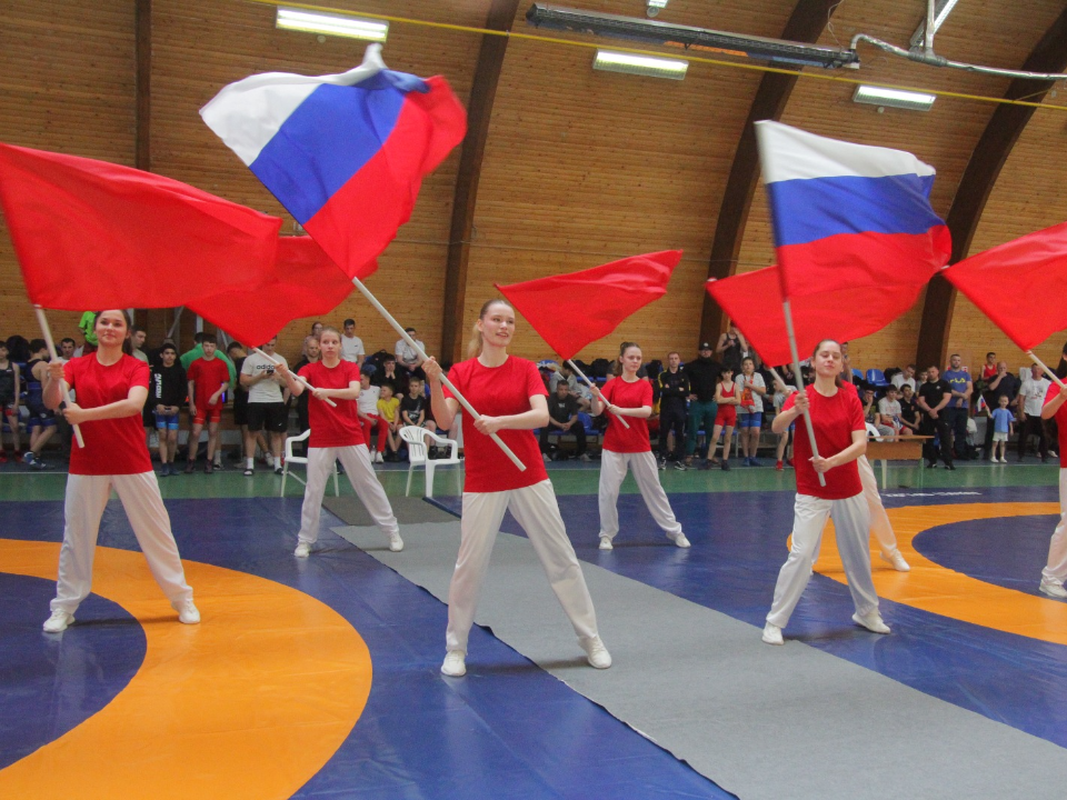 Турнир борцов на Кубок Героя России состоялся в Электростали