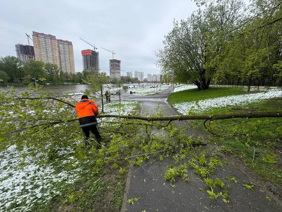 С утра в Пушкинском округе выпилили 65 поваленных деревьев